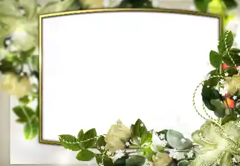 Fotoefect din categoria Rame foto de nuntă № 169345