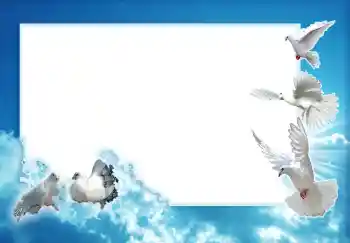 Fotoefect din categoria Rame foto de nuntă № 1710
