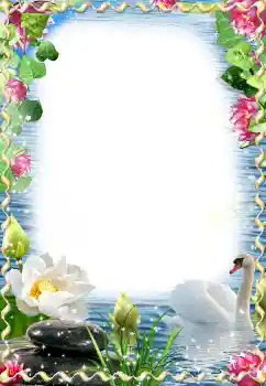 Fotoefect din categoria Rame foto de nuntă № 174059