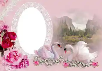 Fotoefect din categoria Rame foto de nuntă № 175415
