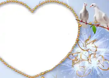 Fotoefect din categoria Rame foto de nuntă № 175 Fotoefect din categoria Rame foto de nuntă № 175