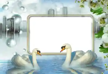 Fotoefect din categoria Rame foto de nuntă № 176840