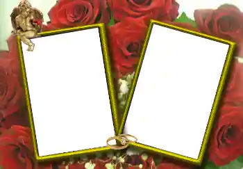 Fotoefect din categoria Rame foto de nuntă № 1768