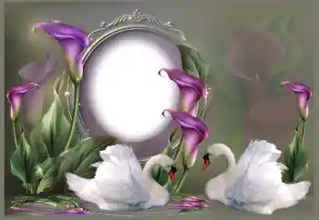 Fotoefect din categoria Rame foto de nuntă № 185841