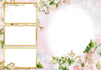 Fotoefect din categoria Rame foto de nuntă № 190471