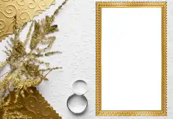 Fotoefect din categoria Rame foto de nuntă № 205549