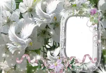 Fotoefect din categoria Rame foto de nuntă № 2318