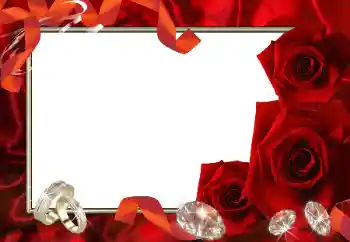 Fotoefect din categoria Rame foto de nuntă № 32751