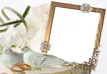Fotoefect din categoria Rame foto de nuntă № 32814