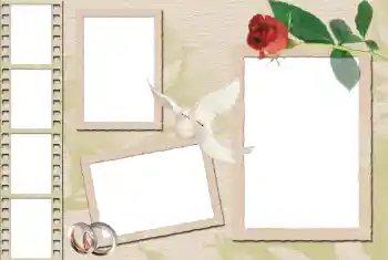 Fotoefect din categoria Rame foto de nuntă № 36230