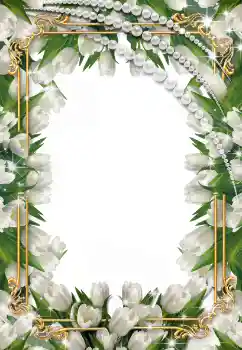 Fotoefect din categoria Rame foto de nuntă № 38588