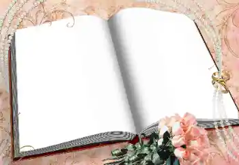 Fotoefect din categoria Rame foto de nuntă № 38744