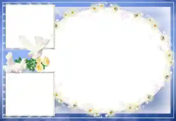 Fotoefect din categoria Rame foto de nuntă № 39329