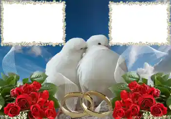 Fotoefect din categoria Rame foto de nuntă № 3951 Fotoefect din categoria Rame foto de nuntă № 3951