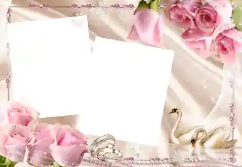 Fotoefect din categoria Rame foto de nuntă № 43521