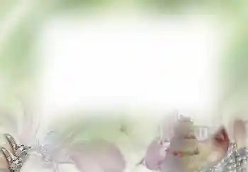 Fotoefect din categoria Rame foto de nuntă № 4445