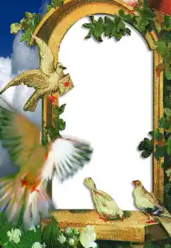 Fotoefect din categoria Rame foto de nuntă № 45665