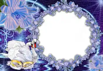 Fotoefect din categoria Rame foto de nuntă № 45668