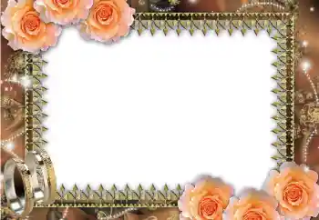 Fotoefect din categoria Rame foto de nuntă № 45669