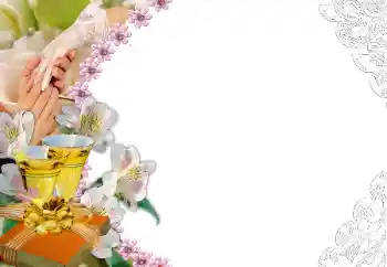 Fotoefect din categoria Rame foto de nuntă № 45781