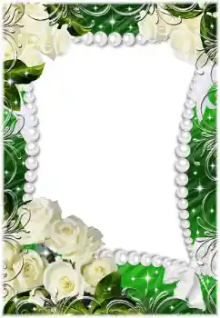 Fotoefect din categoria Rame foto de nuntă № 45794