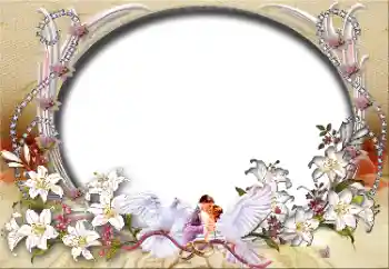 Fotoefect din categoria Rame foto de nuntă № 45827