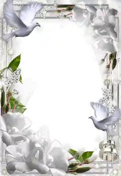 Fotoefect din categoria Rame foto de nuntă № 49574