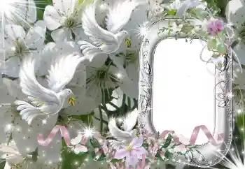 Fotoefect din categoria Rame foto de nuntă № 50686