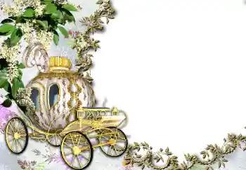 Fotoefect din categoria Rame foto de nuntă № 50820