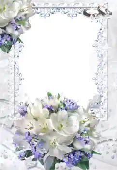 Fotoefect din categoria Rame foto de nuntă № 52201