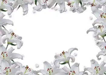 Fotoefect din categoria Rame foto de nuntă № 54