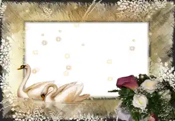 Fotoefect din categoria Rame foto de nuntă № 58998