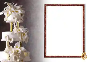 Fotoefect din categoria Rame foto de nuntă № 72