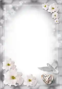 Fotoefect din categoria Rame foto de nuntă № 8724 Fotoefect din categoria Rame foto de nuntă № 8724