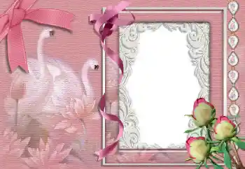 Fotoefect din categoria Rame foto de nuntă № 99842 Fotoefect din categoria Rame foto de nuntă № 99842