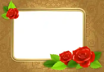 Fotoefect din categoria Rame foto pentru femei № 112534
