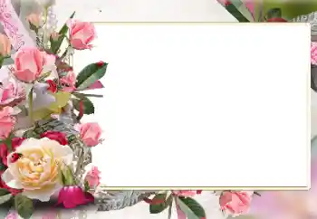 Fotoefect din categoria Rame foto pentru femei № 141147