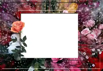 Fotoefect din categoria Rame foto pentru femei № 141153