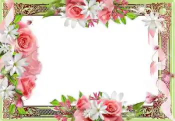 Fotoefect din categoria Rame foto pentru femei № 141157