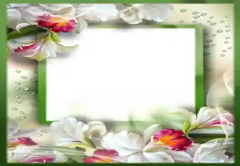 Fotoefect din categoria Rame foto pentru femei № 142310