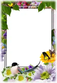 Fotoefect din categoria Rame foto pentru femei № 142332