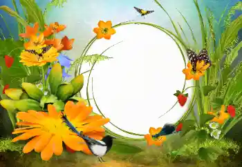 Fotoefect din categoria Rame foto pentru femei № 142333