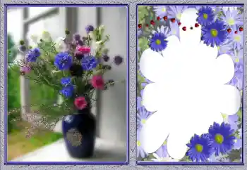 Fotoefect din categoria Rame foto pentru femei № 142378