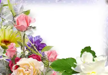 Fotoefect din categoria Rame foto pentru femei № 142430