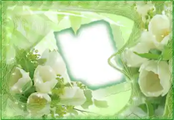 Fotoefect din categoria Rame foto pentru femei № 143497