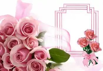 Fotoefect din categoria Rame foto pentru femei № 143506