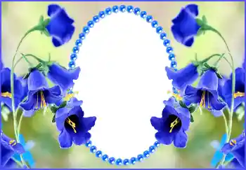 Fotoefect din categoria Rame foto pentru femei № 143516