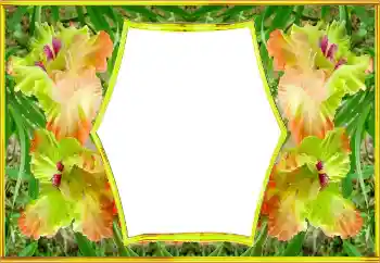 Fotoefect din categoria Rame foto pentru femei № 143517