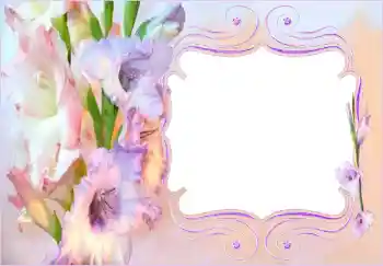Fotoefect din categoria Rame foto pentru femei № 143530