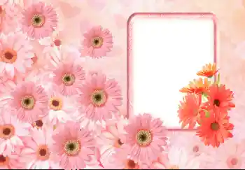 Fotoefect din categoria Rame foto pentru femei № 143633